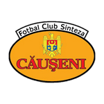 Sinteza Căuşeni